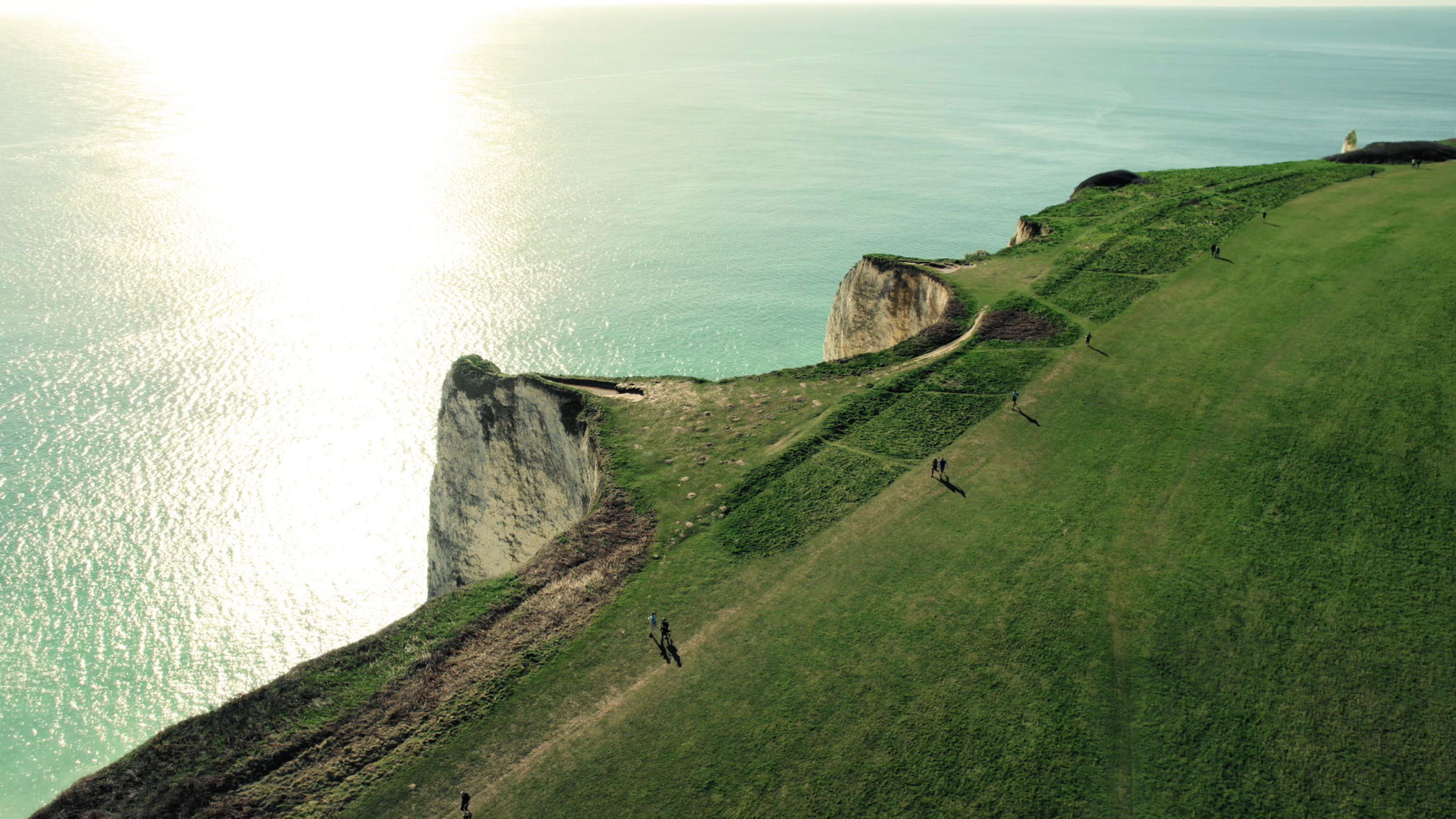 The Jurassic Express!